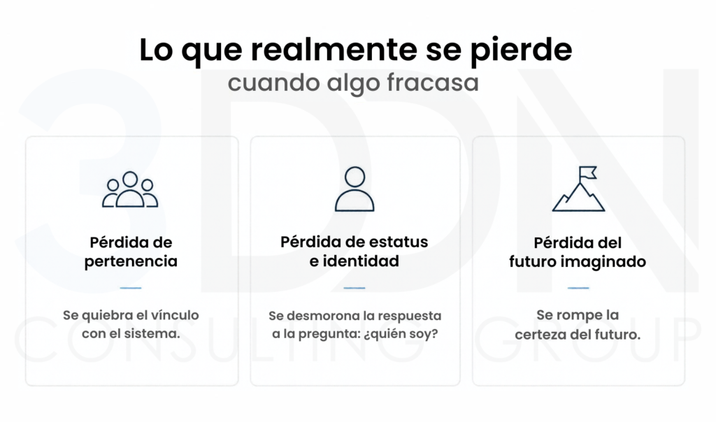 Infografía sobre las pérdidas emocionales y simbólicas que puede implicar un fracaso profesional.